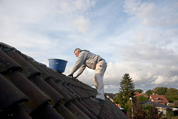 Nettoyage Toiture Champagne-au-Mont-d’Or vous aide à maintenir votre toit en excellent état. Un toit bien entretenu